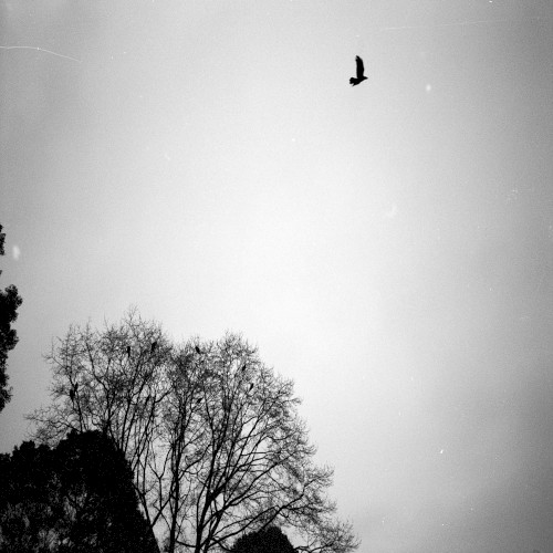 Black Skies - On The Wings Of Time